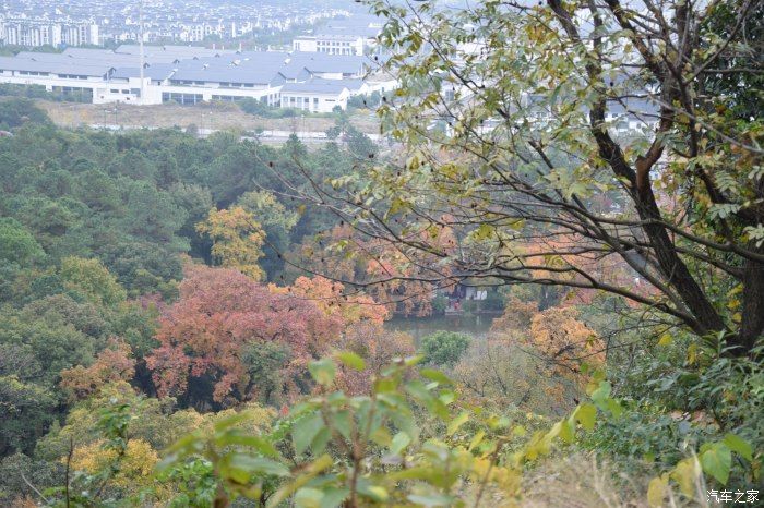 天平山|【喜迎国庆】停车坐爱枫林晚，霜叶红于二月花。游天平山赏枫叶