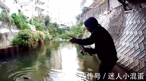 钓鱼|桥下水虽少,但却钓上了大鱼,太激动了,鱼差点就跑掉了