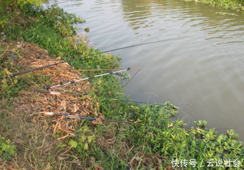 鱼饵|放鸭子到水里，鸭子上岸，后面还拖上来一条鱼，原因让人想不到