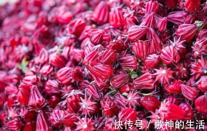 养颜|此花有玫瑰茄的称号,是极品养颜神品,营养价值丰富