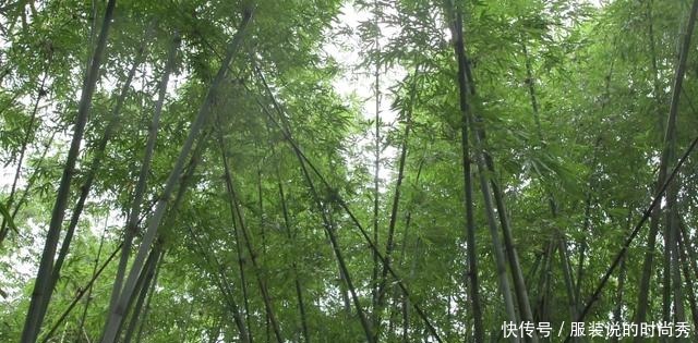 竹一味|《舌尖上的惠州》龙门的竹筒盛宴