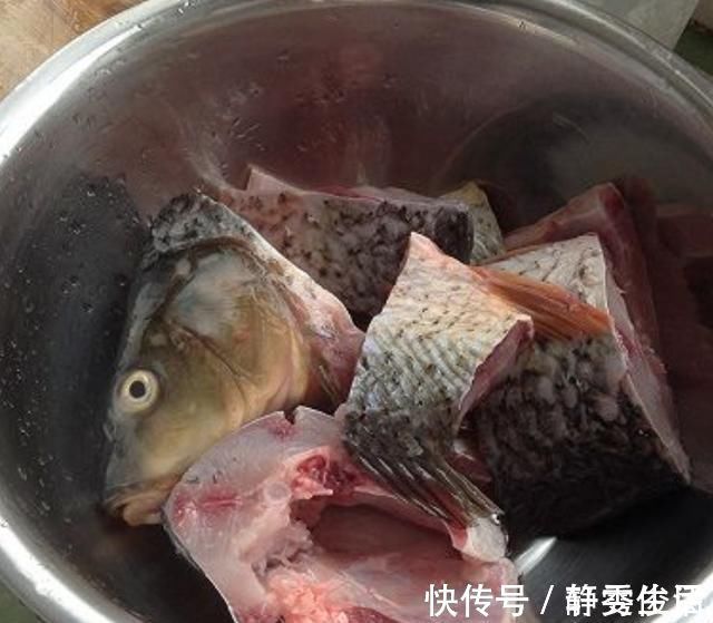 滋补|这鱼比牛羊肉还滋补，5块钱一斤无人买，清热祛湿，用来炖汤最好