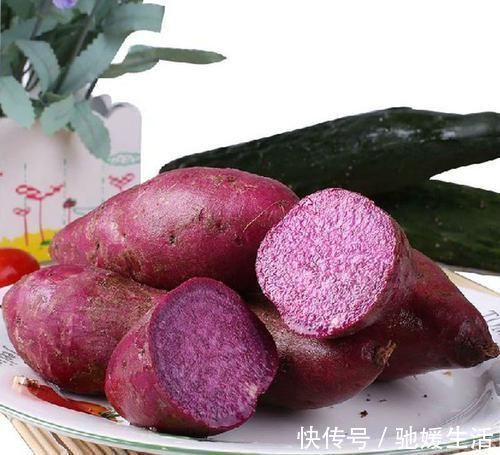 黄瓜|想长寿要会吃,3种食物不可少,养胃健脾,增强身体免疫力