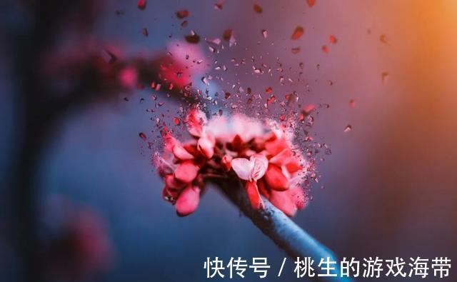 女人|女人最该保养的是这里,养好了老得慢、不长斑、少得妇科病