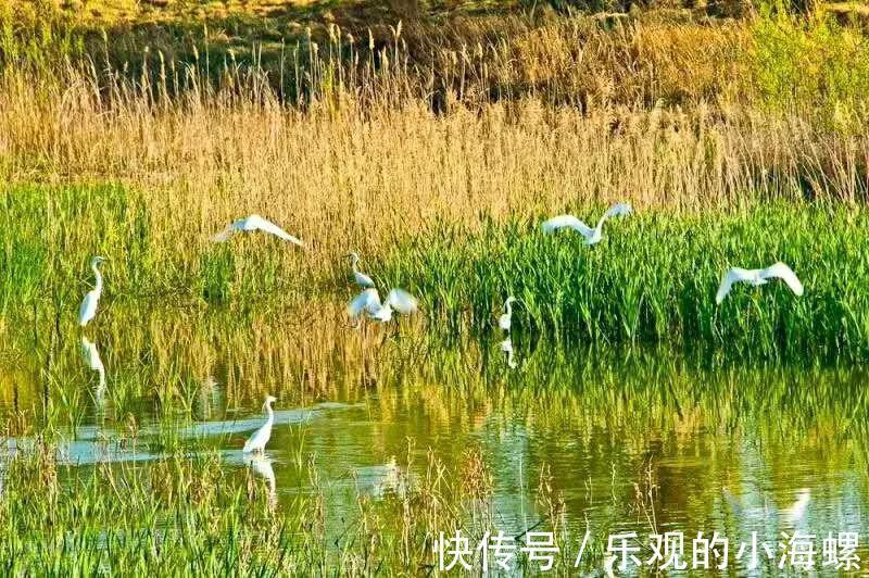 翔海房产：大乳山的秋天， 在色彩斑斓中已上线！