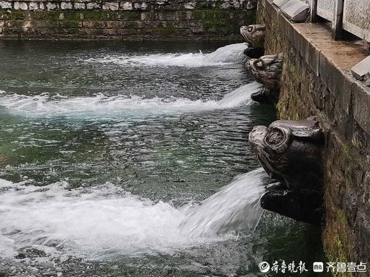 黑虎泉|水位29.06米五年最高！济南黑虎泉“怒吼”喷涌而出