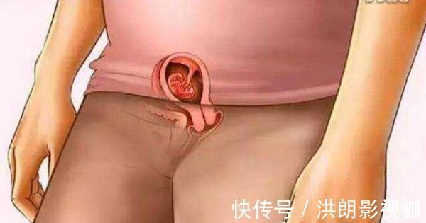 过程|怀胎十月到底是什么样的,十张图带你看孕育过程,生而为人须了解