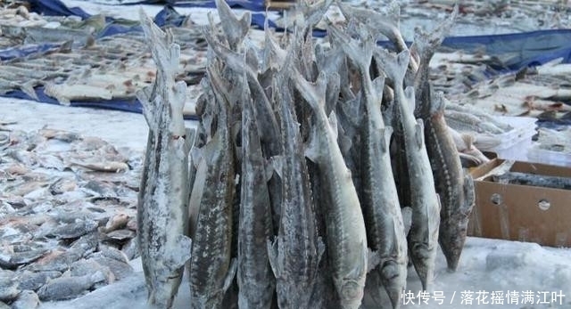 1箱水果变成1箱“冰淇淋”?老板哭诉:赔翻了,忘了这个“雷”