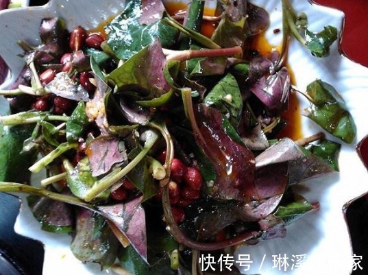 煲水|十个女性九个都有妇科炎症,此草煲水喝,排毒消炎,子宫慢慢变好