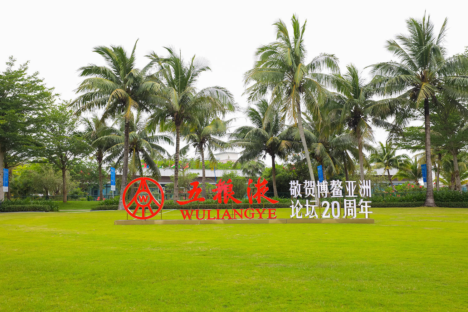 让中外嘉宾爱上五粮液的味道 中国白酒在博鳌亚洲论坛屡获点赞