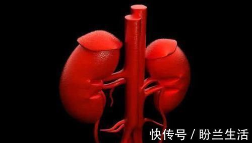 海参|45岁后的男人，若是发现雄激素偏低，6物使劲吃，衰老不会太早