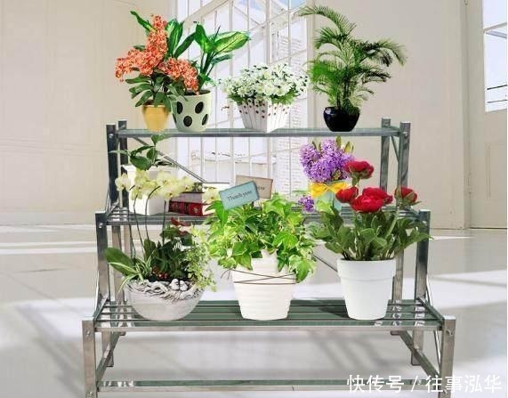 去邻居家串门, 一去阳台我就傻了, 这些“花架”太上档次了