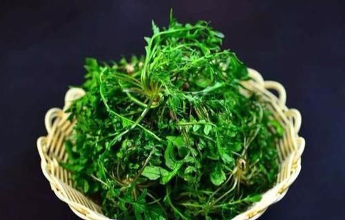 聪明的人|聪明的人爱吃3种食物,美容养生、延缓衰老,早吃早健康!