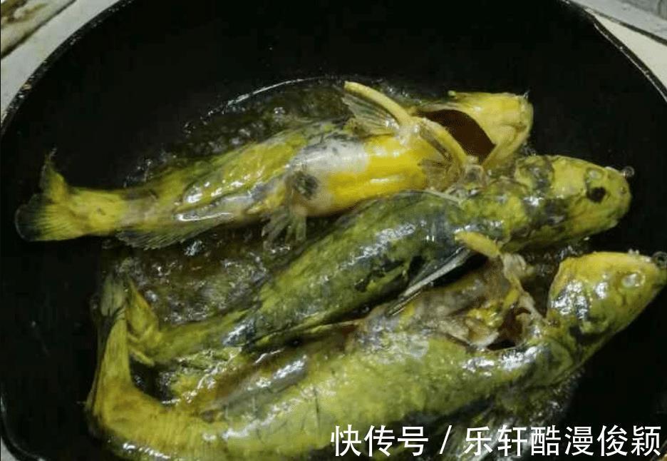 初冬到，遇到这鱼别手软，我家隔2天吃一回，肉肥刺少汤汁鲜