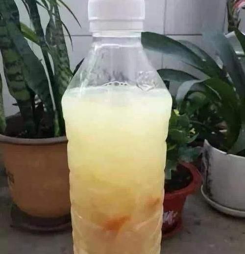  不用|土壤结块戳不动该怎么办？7天浇一次它，养花不用再换土了