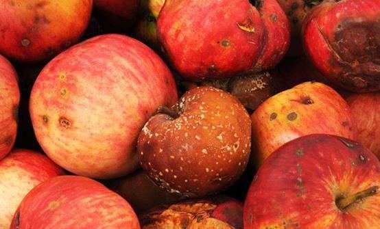 实情|26岁小伙查出肝癌,医生说出实情两种水果比酒精还伤肝,别再碰