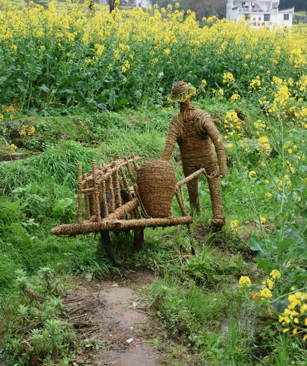 婺源|【春到婺源】记得住乡愁，江岭上开遍油菜花。