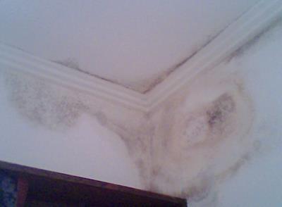 内行人|为什么有钱人都不愿意买二手房听了内行人说的话,才知我家买错