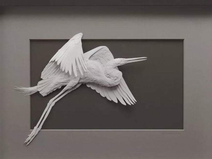 作品|意大利艺术家 Calvin Nicholls 纸雕作品