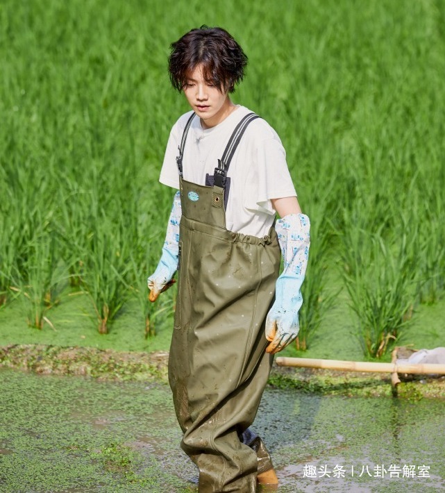 鹿晗178cm，彭昱畅178cm，两人同框后，真实身高差距太明显