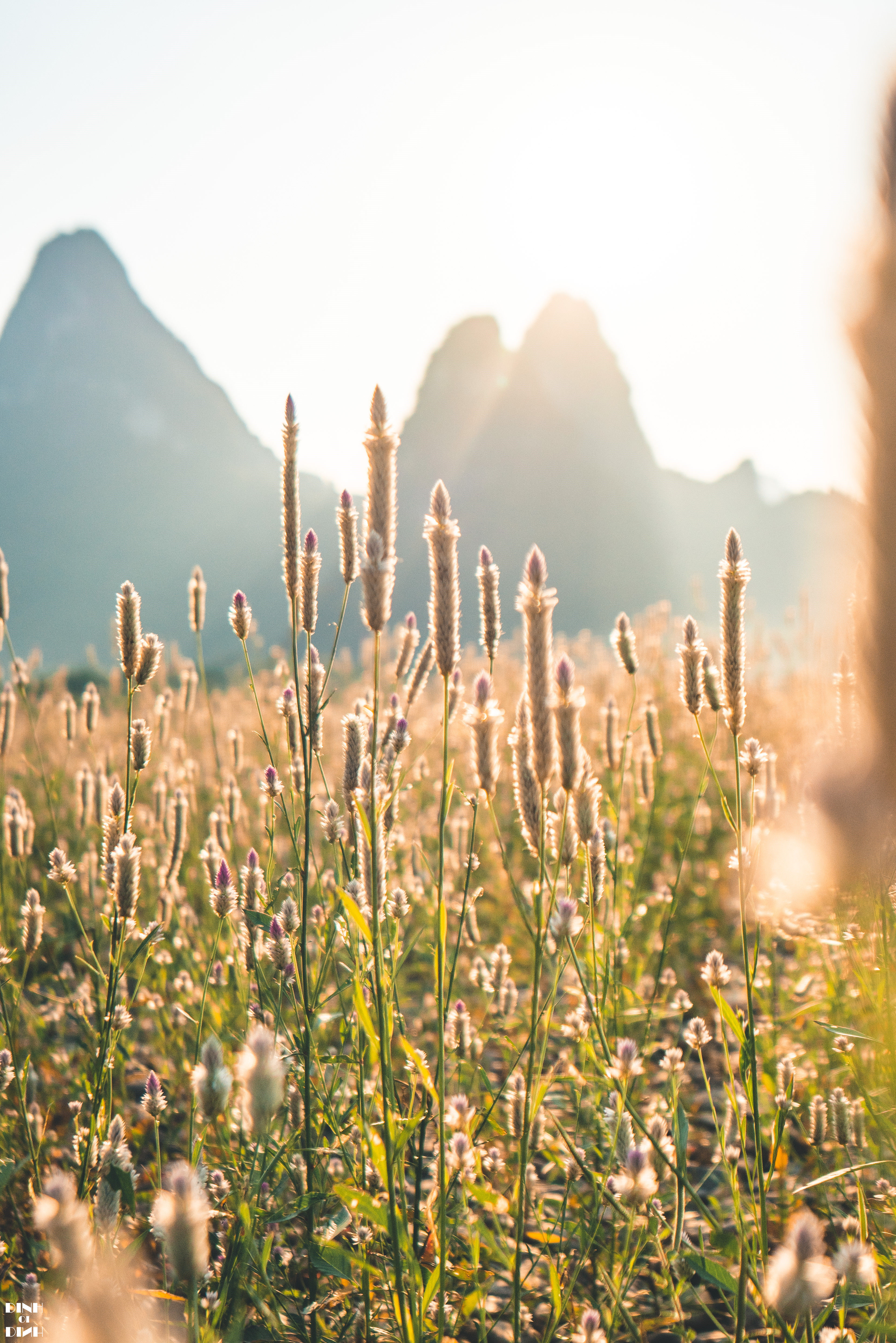 老寨山|遇见阳朔的光与影，晨与昏，山与水