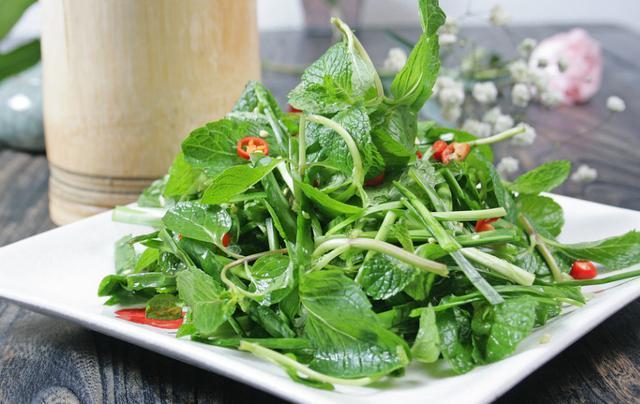 观赏|客厅养盆“薄荷草”,观赏食用两不误,能驱虫能净化空气!