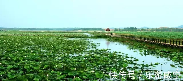 | 那些错过的美景，补上！|咸宁之美 | 赵青松