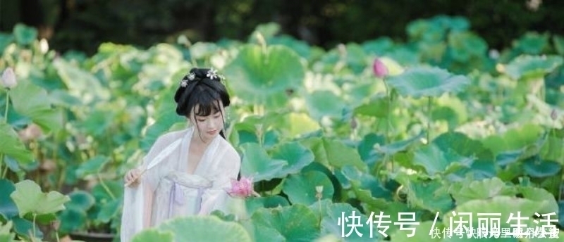 采莲曲#白居易看到采莲女害羞,当即写下一首诗,通篇描写得生动有趣!