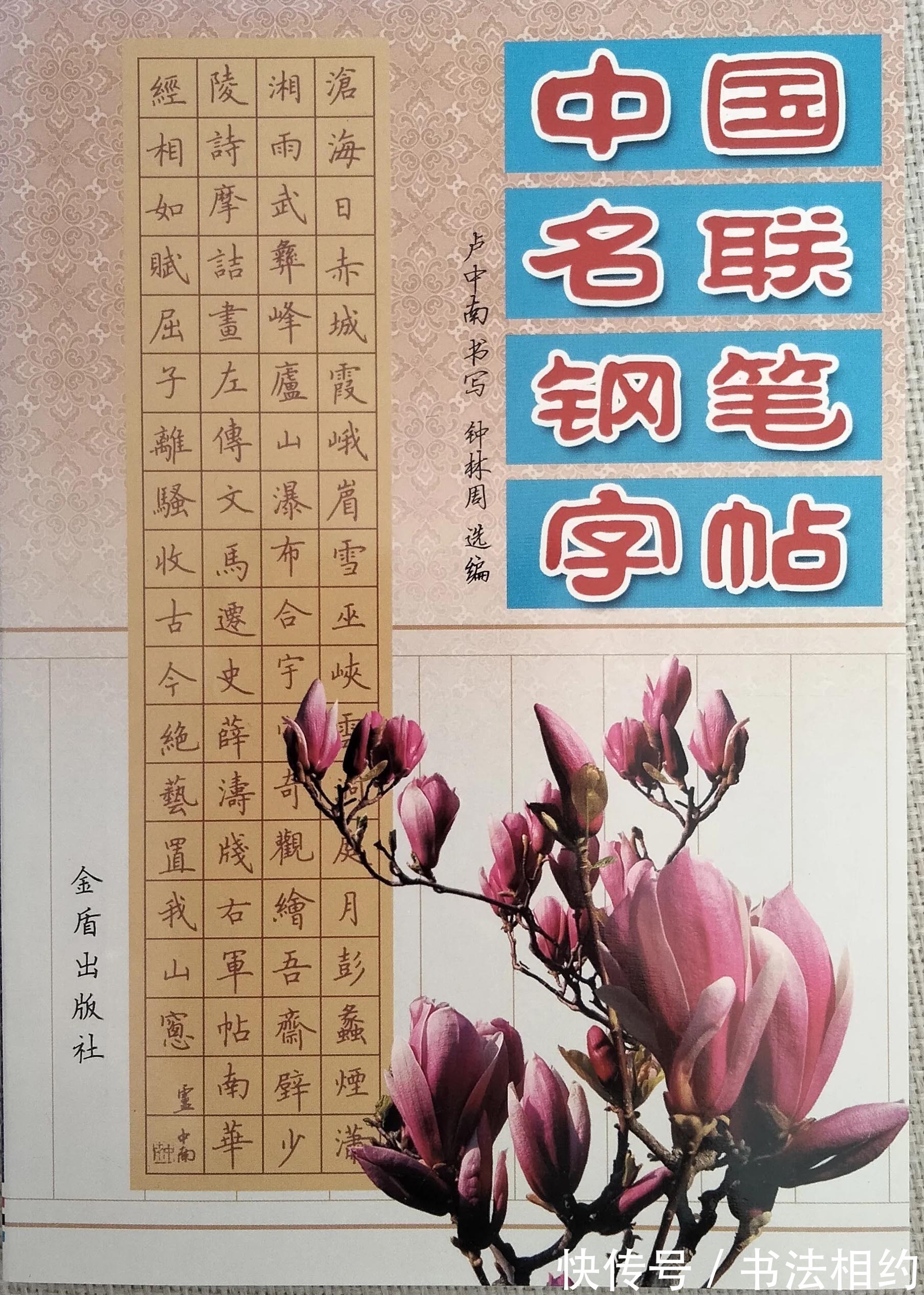 书坛#精神头足!卢中南早期的硬笔书法字帖,字迹珠圆玉润,精彩之极