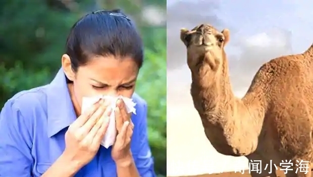 24个冷知识:生物老师看完直呼不可思议,但却真实存在的有趣知识。