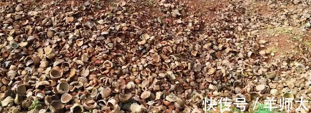 柴烧建盏@龙窑柴烧建盏的难度有多大，直播开窑能看到什么？