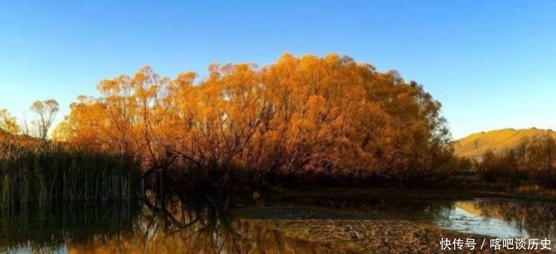 《唐诗三百首》误收录的一首诗,由于写得太好了,一直被人误会!