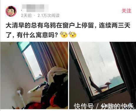 |当代网友的搞笑高智商神回复第333篇