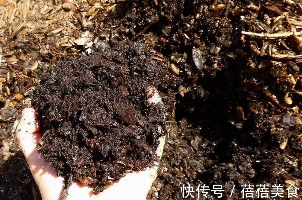 养花的“旧土”加点“废物”,又肥的流油,养花一级棒