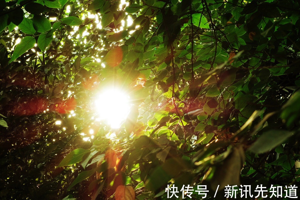 深喑|提炼自然之美，绘就理想之家