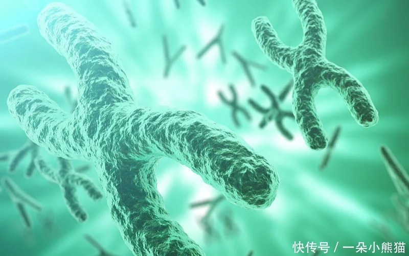 治愈|小脑萎缩可以治愈吗 小脑萎缩平时应该注意些什么?