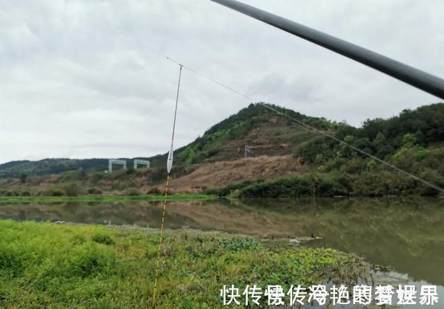 鲢鳙|为什么野钓鲫鱼不建议浮钓?看完这几条理由,你就明白了