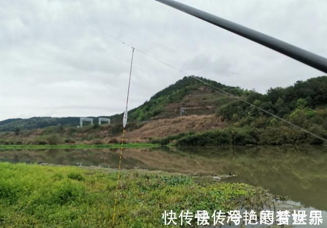 鲢鳙|为什么野钓鲫鱼不建议浮钓？看完这几条理由，你就明白了