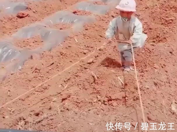 力气|“小奶嘴宝宝”下地干活火了,为了这个家也是操碎了心