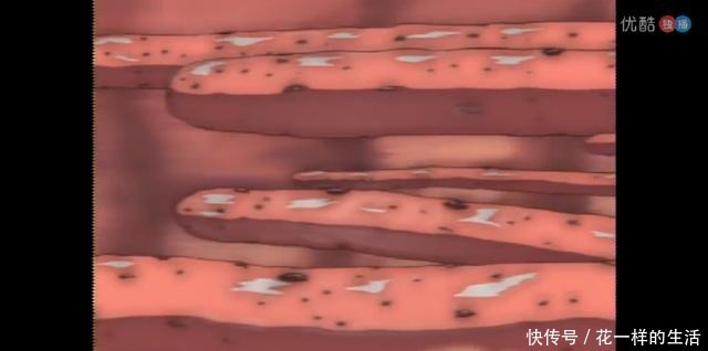 最少|火影盘点妙木山最少见的5只蛤蟆,最后一只没人知道长啥样