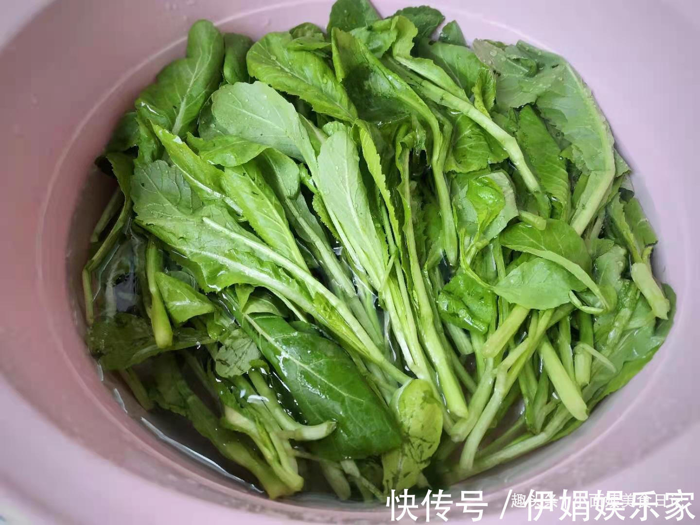 芥菜|这菜是唯一含维生素D的蔬菜，虽然贵但营养极高，老人小孩都爱吃