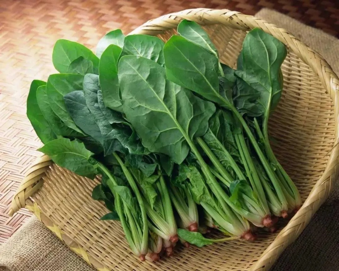 这几种绿叶菜的做法千万别弄错了!