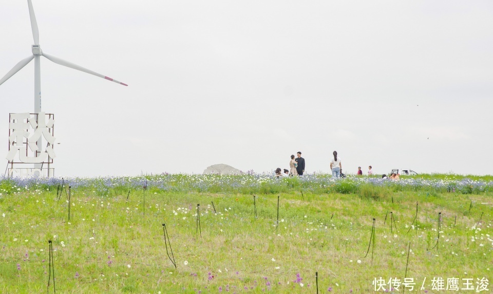 山东最美的沿海小城，距济南370公里，名气不大风景却很美