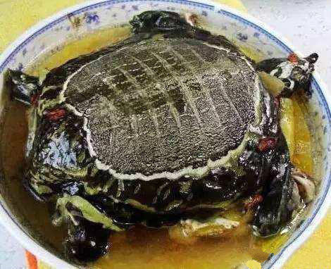 色彩味|正宗农村宴：26道菜，道道色彩味俱全，村宴大家爱吃的美食