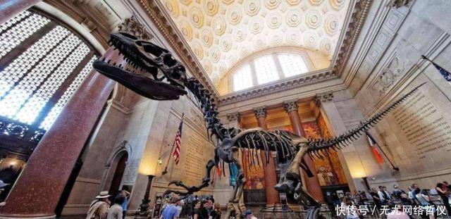 博物馆|三人去博物馆偷钻石,本想着是一场血雨腥风,结果连报警器都没响