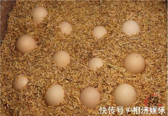 鸡蛋|才知道，鸡蛋放冰箱保存就错了教你一招，放一年都不会坏，实用