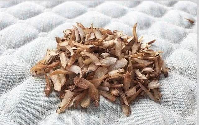 男人味|天然的“雄激素”找到了, 男人多吃点, 补肾养精, 越吃越有男人味