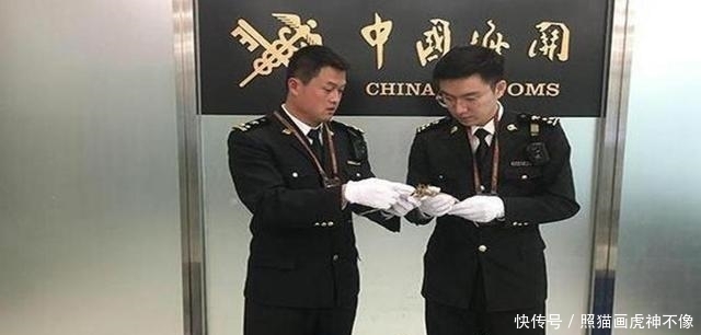 挽回|海关拦下一群可疑美国人,为祖国挽回3400万损失,值得点赞