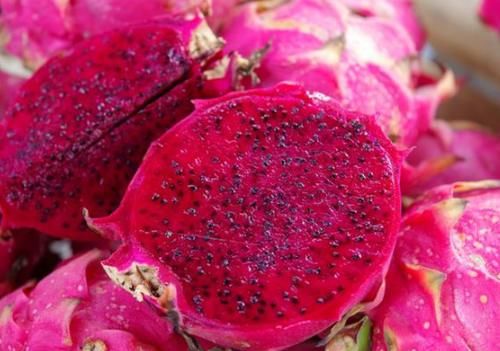 西红柿|夏季孩子易积食，提醒：多吃这“2黄”，或可调节肠胃健康