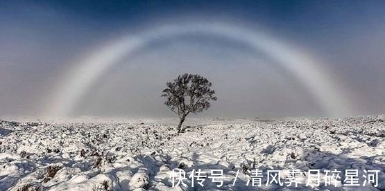 生活中的冷知识,增加奇怪的知识,一起来变得博学吧